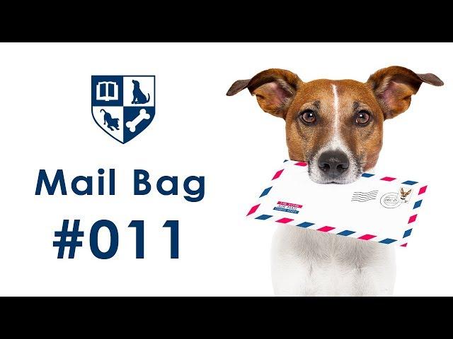 Dunbar Mailbag #11 - Phasing out food/Toys as Rewards