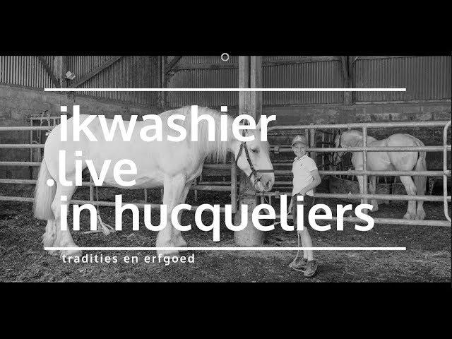 Fête Agricole avec Concours de chevaux Boulonnais - ikwashier.live à Hucqueliers / Trekpaard