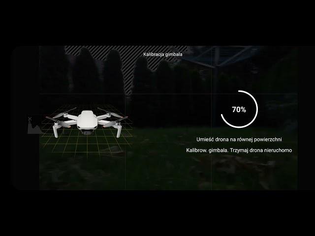 dji mini 2