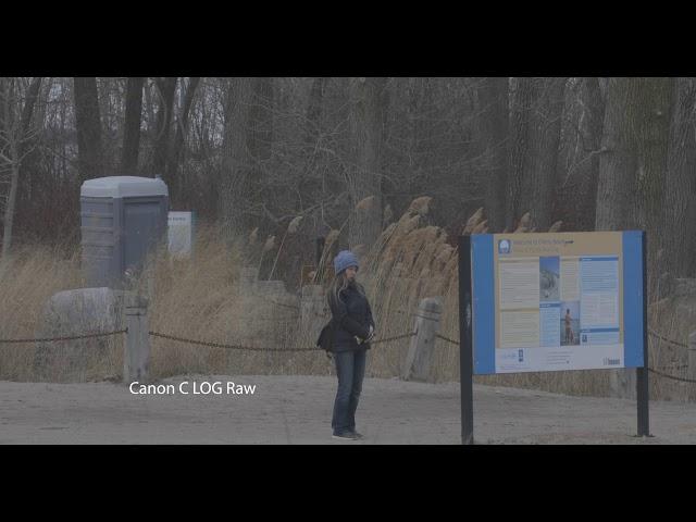 Canon 5D Mark IV C-LOG TEST with Canon Wide DR LUT and FilmConvert