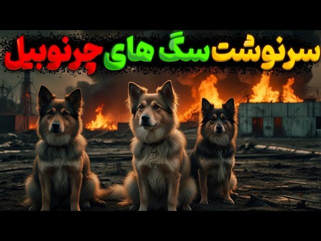 سرنوشت باورنکردنی سگ‌های چرنوبیل : بقا و امید در دل منطقه ممنوعه | Dogs Of Chernobyl