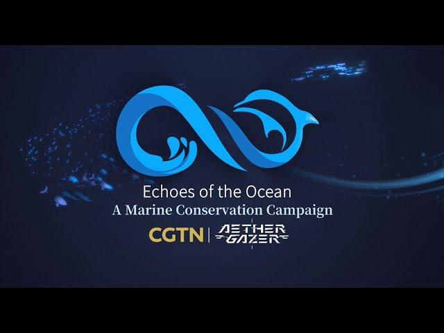 "Echoes of the Ocean" - Aether Gazer x CGTN Collaboration Event