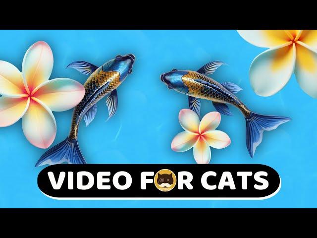 CAT GAMES - Catching Fish! Video for Cats | CAT TV | 1 Hour.