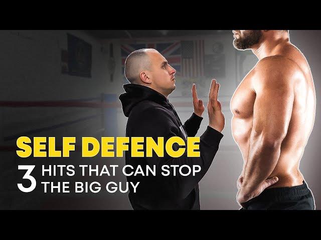 3 hits that can stop the big guy. Self defence. Power punch.