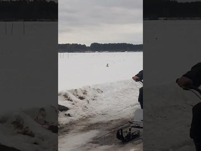 Мотовалера