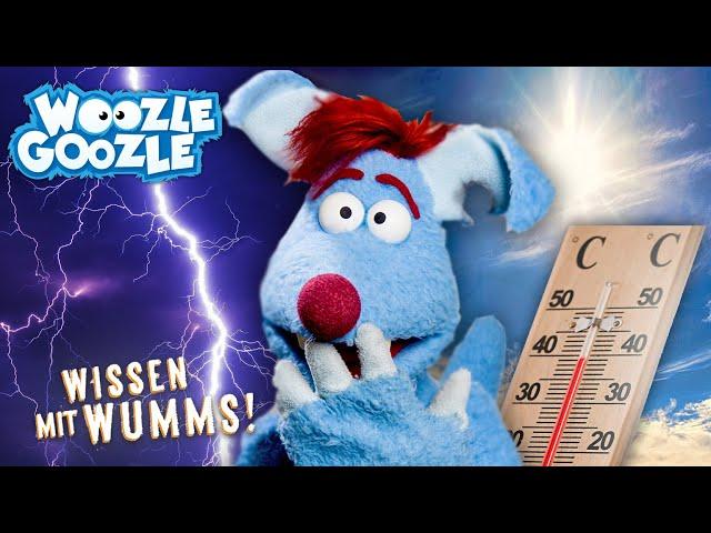 Was du über das Wetter wissen musst und warum es so wichtig ist l WOOZLE GOOZLE