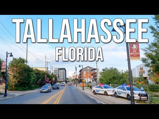 Tallahassee, Florida: Top Reasons You Might Want to Think Twice Before Moving There