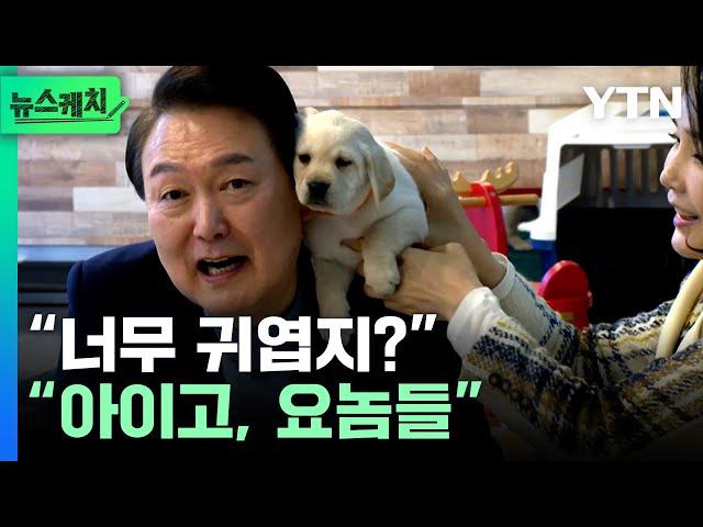 윤석열 대통령 부부가 받은 크리스마스 선물의 정체? [뉴스케치] / YTN