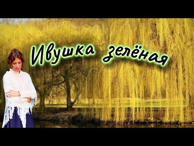 Ивушка зеленая - Юлия Боголепова