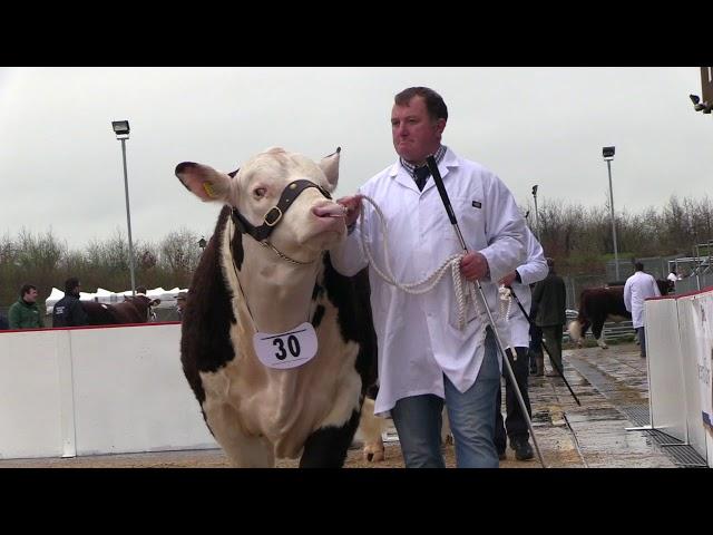 Hereford Spring Show & Sale 2018 at Hereford Market