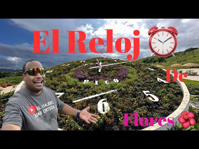 El Reloj Floral más grande de Puerto Rico | aibonito