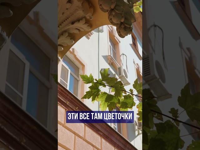 Что хорошего в Краснодаре?! Прогулка по улицам Краснодара Просочились #краснодар  #переезд  #пмж