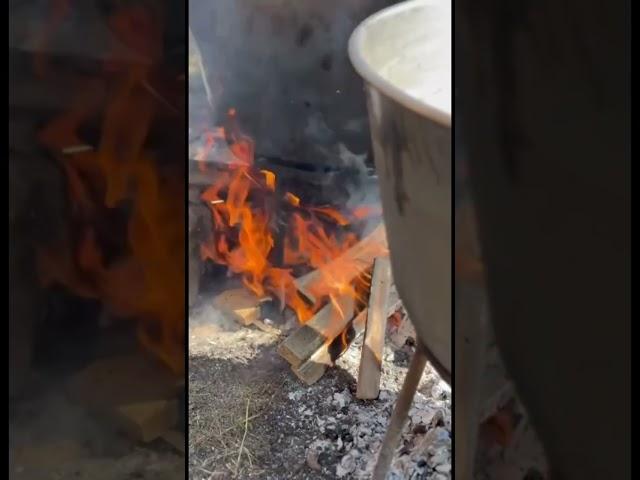 Какая свадьба без главного блюда, и обязательно на костре! #кавказ #ингушетия #свадьба#вайнахи