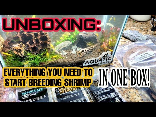 WHATS IN THE BOX?! Is it Worth the Money? Unboxing Aquatic Arts New Neocaridina Shrimp Breeder Box