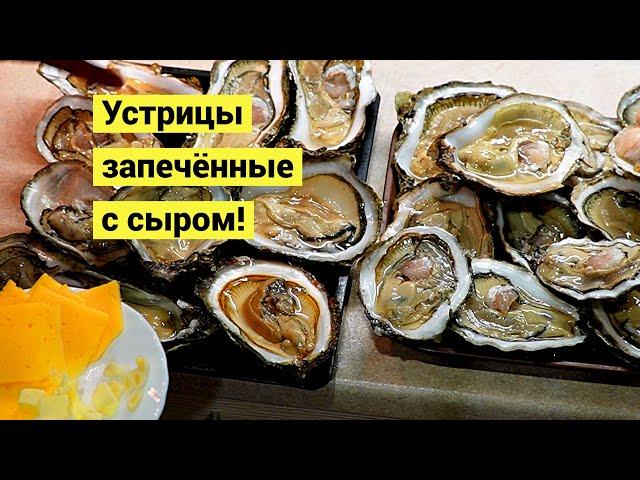 Устричные россыпи посреди ночи! Собираю дары моря на отливе