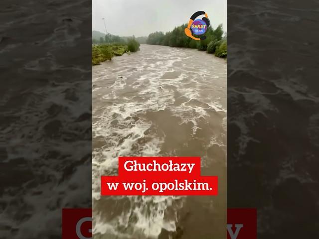 Poland and the Czech Republic are preparing for a major flood