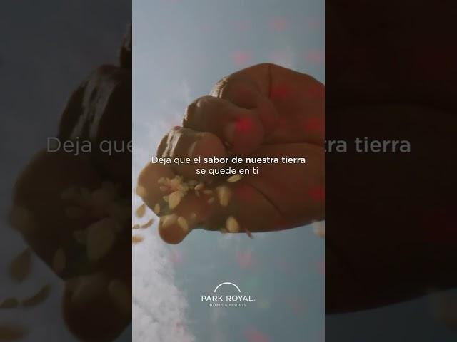 Un viaje de sabor por México #shorts