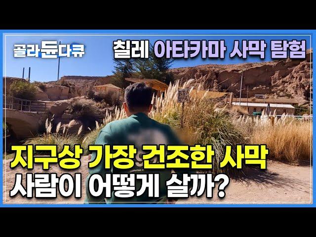 500년 넘도록 비가 오지 않는 곳도 있는 '지구상 가장 건조한 사막'에 100만 명이 산다?|사막 한복판에서 사람이 어떻게 살까?|칠레 아타카마 사막|세계테마기행|#골라듄다큐