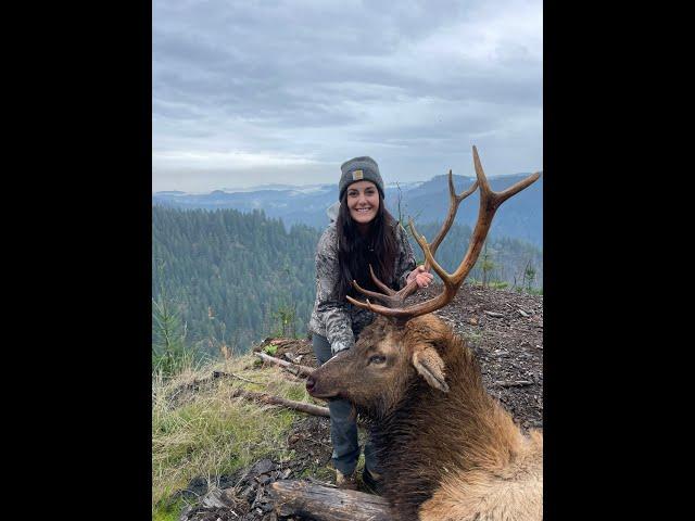 Oregon Coast Bull Elk Hunting