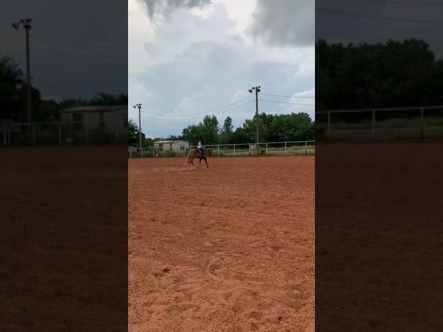 Paisley and ChicaLinda practice their horsemanship pattern in the rain