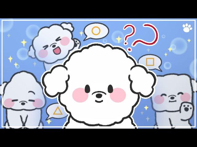 Cotton Plushy~ Fluffy Puppy! Bichon