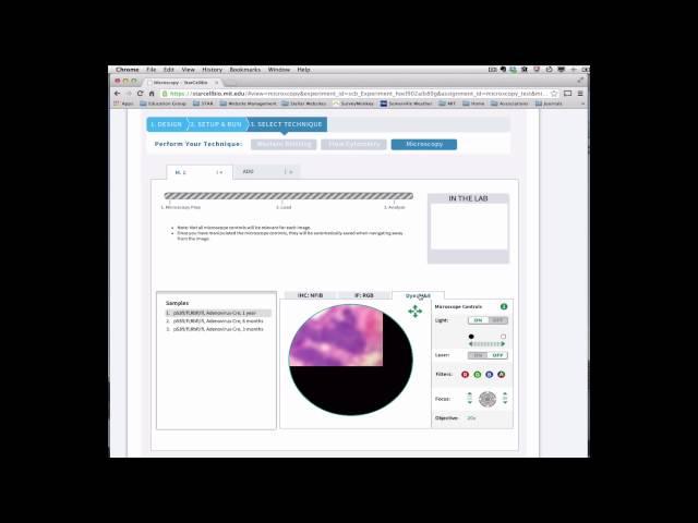 StarCellBio Video Tutorial 4 - Microscopy Experimental Technique