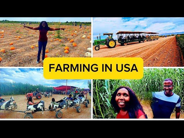 Farming in USA with my family mashamba Huku yues