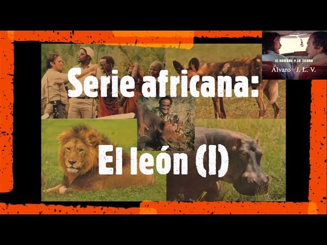 El hombre y la Tierra - Serie africana: El león (I). Por Félix Rodríguez de la Fuente.