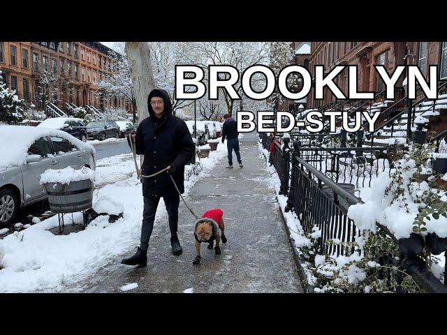 NEW YORK CITY Walking Tour [4K] - BROOKLYN - BEDSTUY