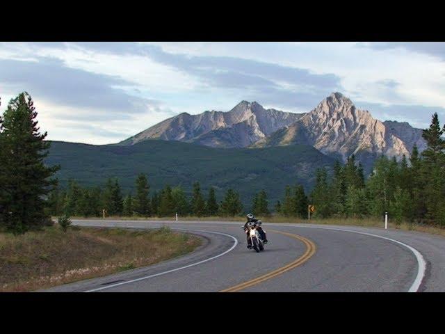 Motorcycle Riding, Elk, Rocky Mountains. Travel & Adventure POV