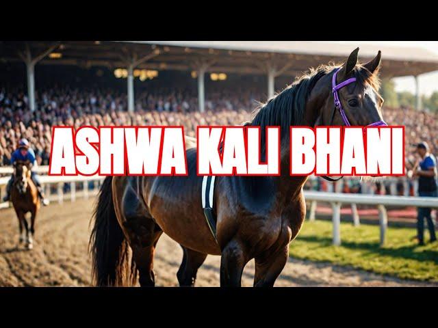 ASHWA KALI BHANI wins The A B Stud Fillies Trial Stakes