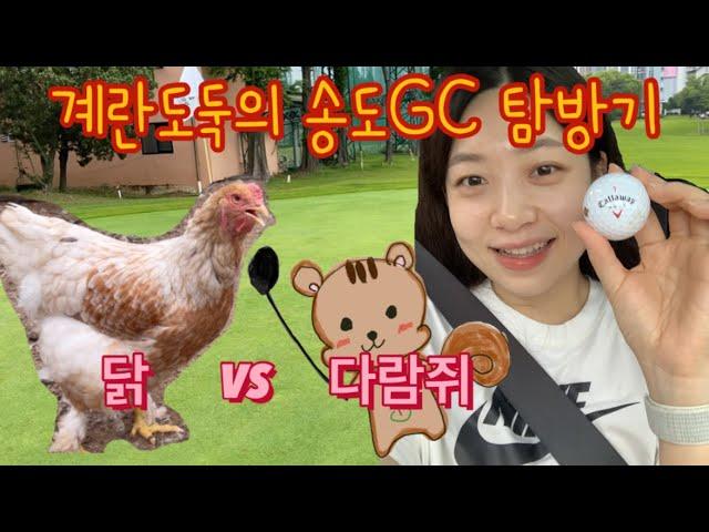 EP.09 계란도둑의 송도GC 탐방기