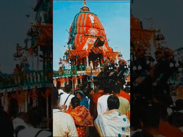 Puri Rath Yatra #jagannath #garuda #odisha #puri #jayjagannath #shorts