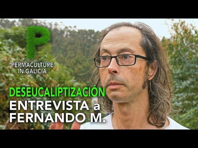 DESEUCALIPTIZACIÓN. 4K Galego |  Entrevista a Fernando Marcelín | Permacultura en Galicia