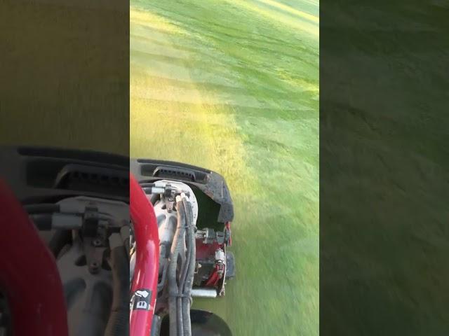 How I do cleanup pass on greens! #golfcoursevlog