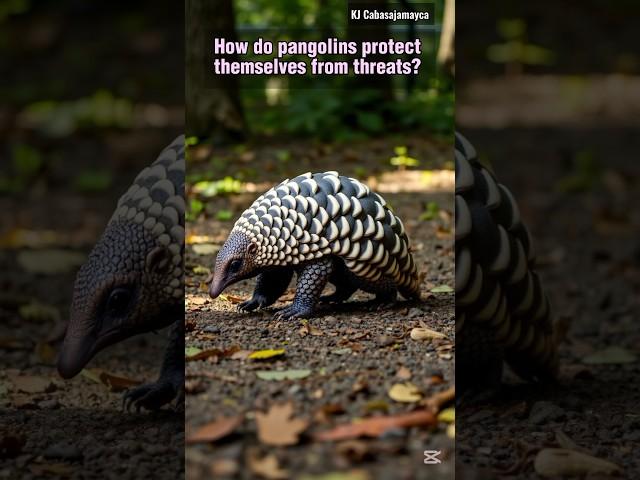 How do pangolins protect themselves from threats?