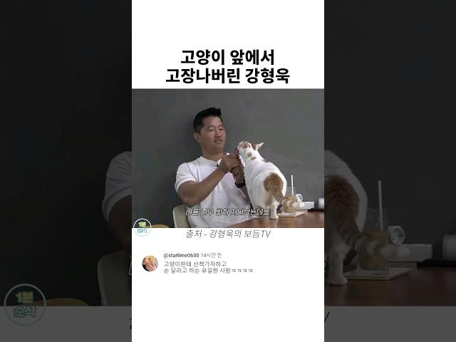 고양이 앞에서 고장나버린 강형욱