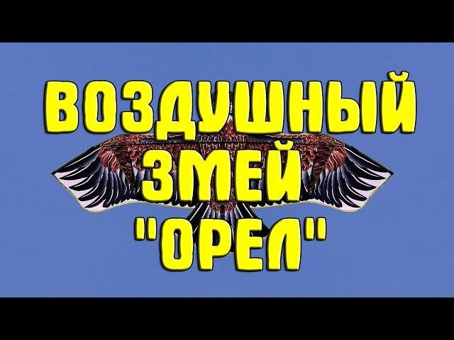 Воздушный змей "Орел": обзор, сборка и запуск