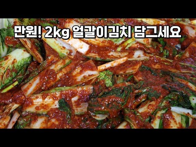 올해 배추가 너무 비싸서 얼갈이로 맛있는 김치를 담궜어요