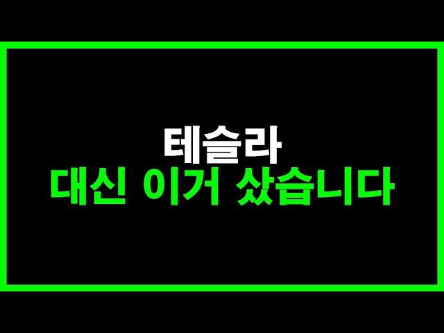 테슬라 대신 이거 샀습니다