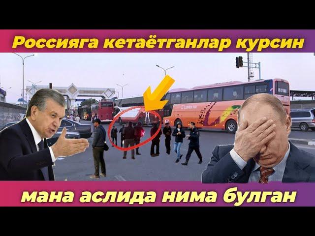 Ташкент Москва автобус катновлари | Узбекистан Россия автобус