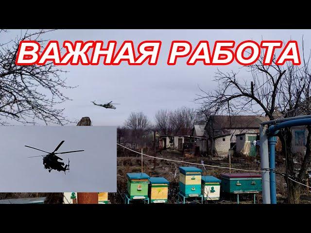 СПЕЦИАЛЬНАЯ ОПЕРАЦИЯ УТЕПЛЕНИЕ ПЧЁЛ