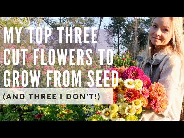 Easy cutting garden flowers to start from seed (and three I don't use for cuts)!