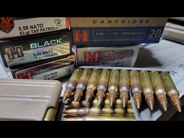 Stockpiling ammo a baseline and a harsh reality check