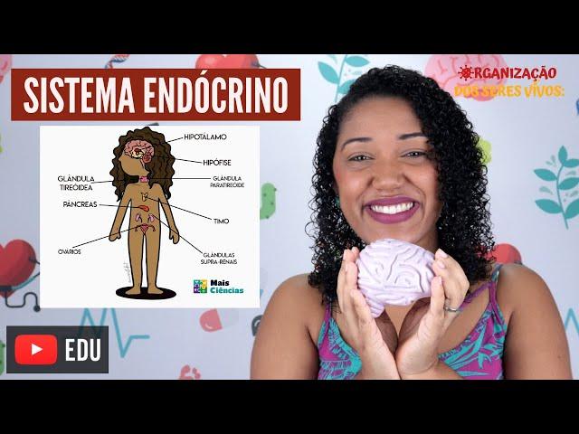 Aula Sistema Endócrino Ep. 9