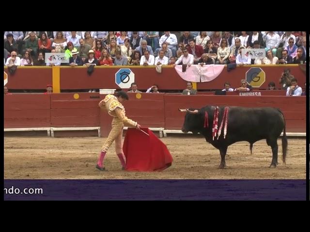 El arte del toreo con Andrés Roca Rey