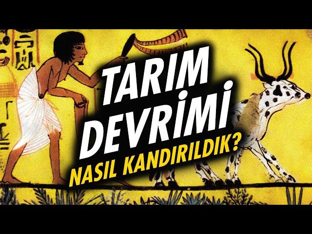 Tarım Devrimi: Tarihin En Büyük Aldatmacası