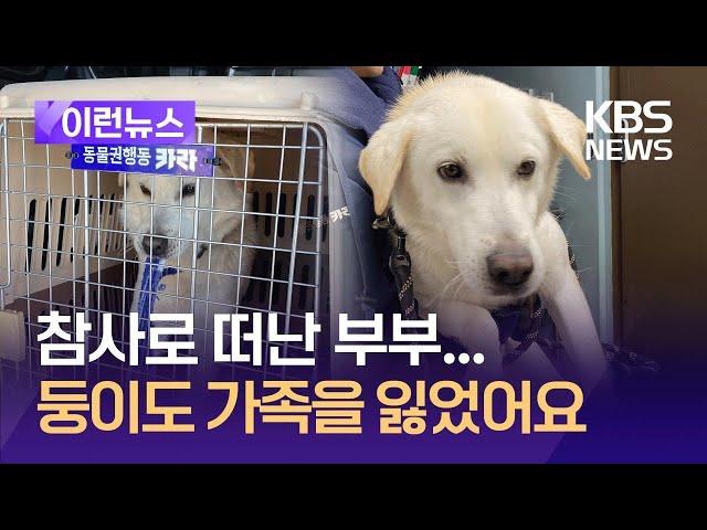 [이런뉴스] 푸딩이 이어 '둥이'까지…남겨진 반려동물 상황은? / KBS 2025.01.14.