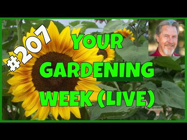 Controlling Insects in the Garden (Q&A)