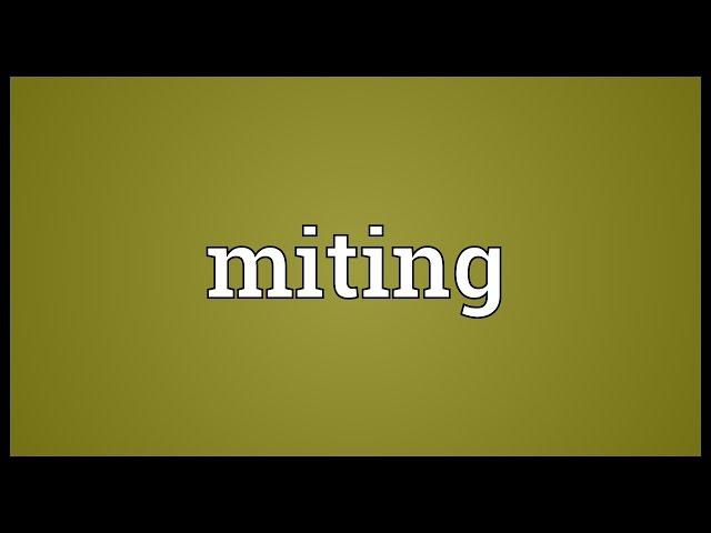 Miting Meaning